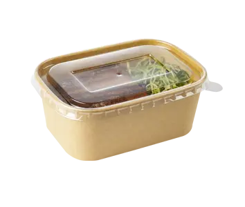 Paper Bento Box