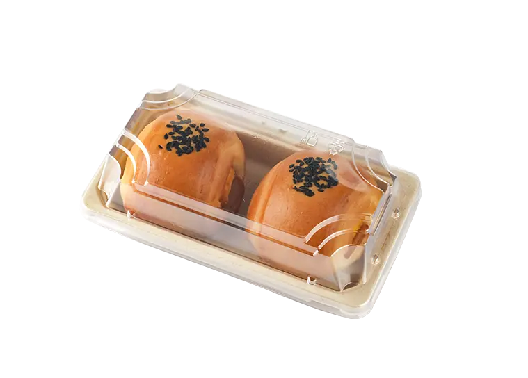 Bagasse Packaging