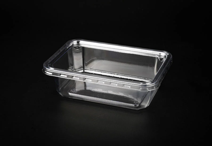 Transparent Plastic Bread Box With Lid
