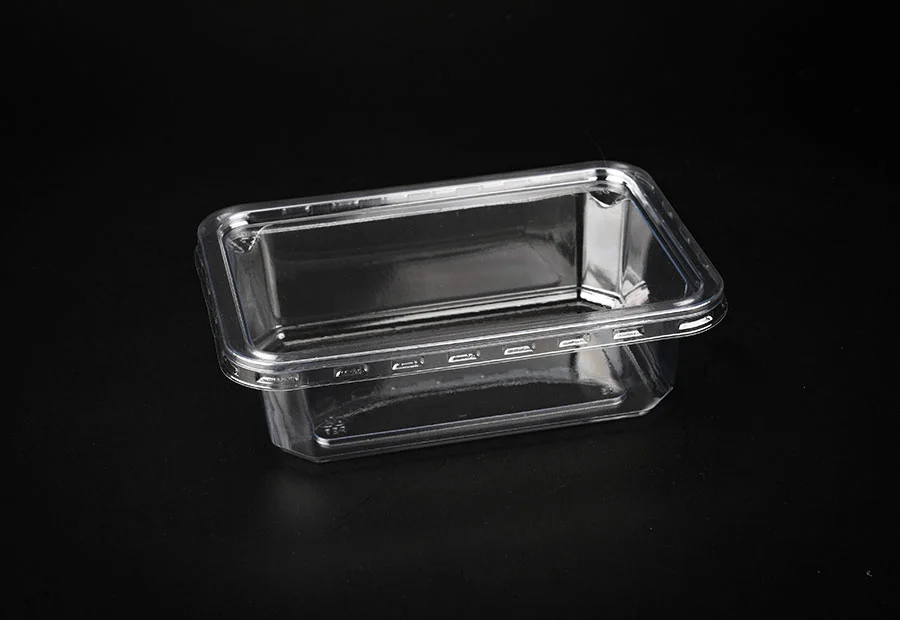 Transparent Plastic Bread Box With Lid