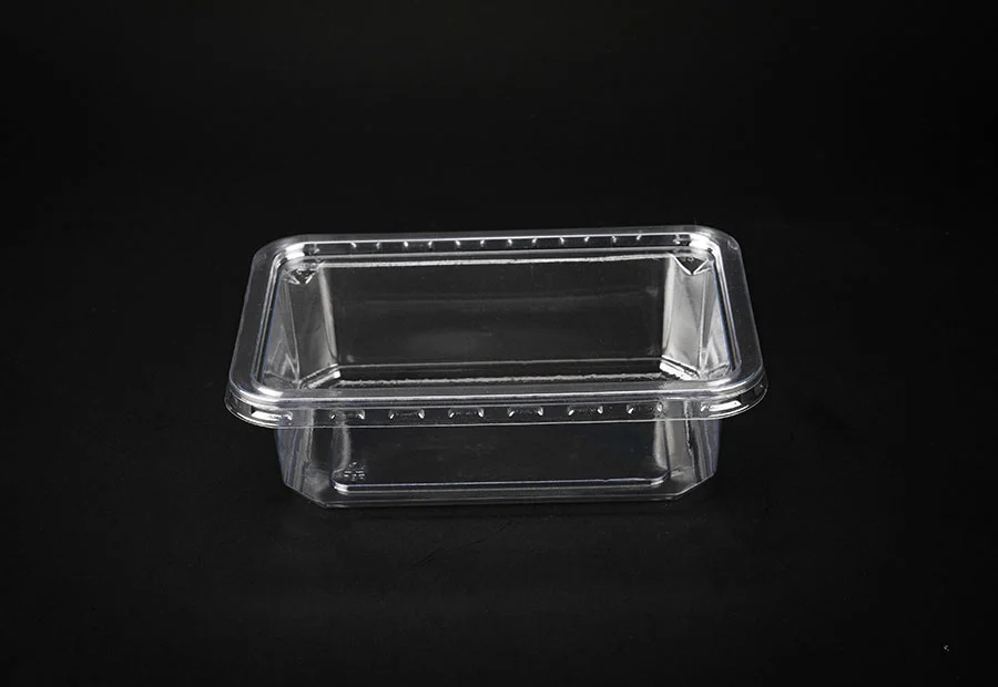 Transparent Plastic Bread Box With Lid