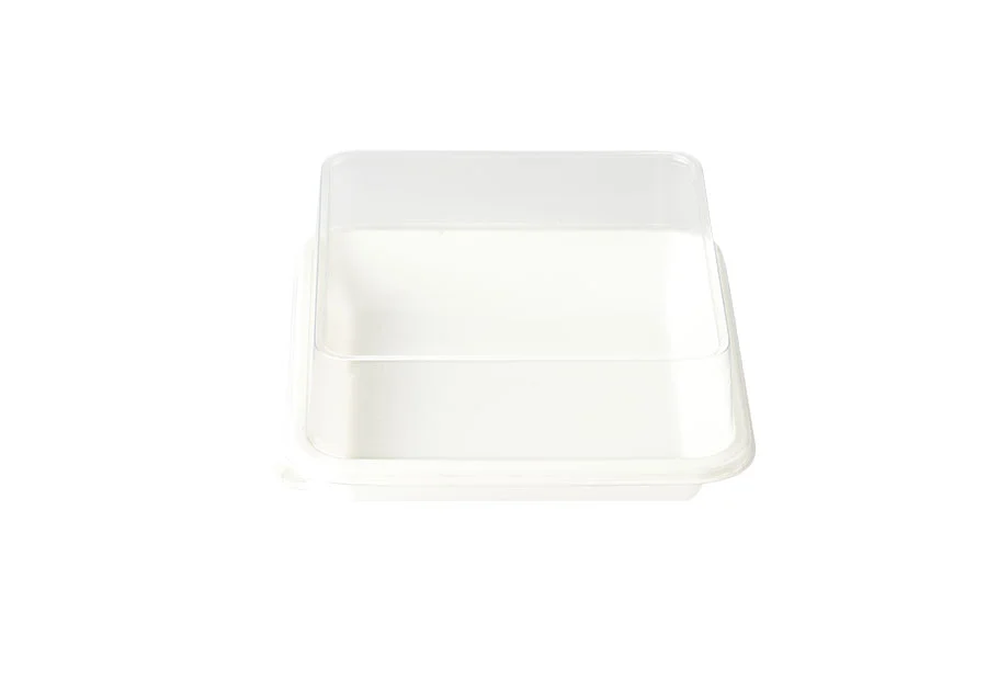 Clear Bakery Pastry Plastic Box