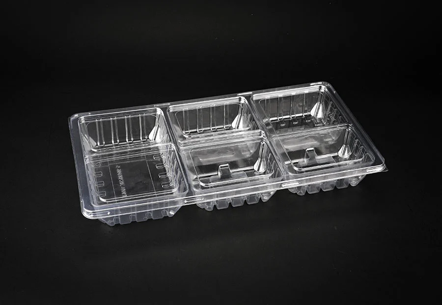 5-Compartment PET Bakery Container