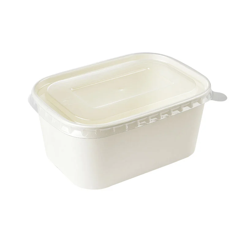 Paper Bento Box