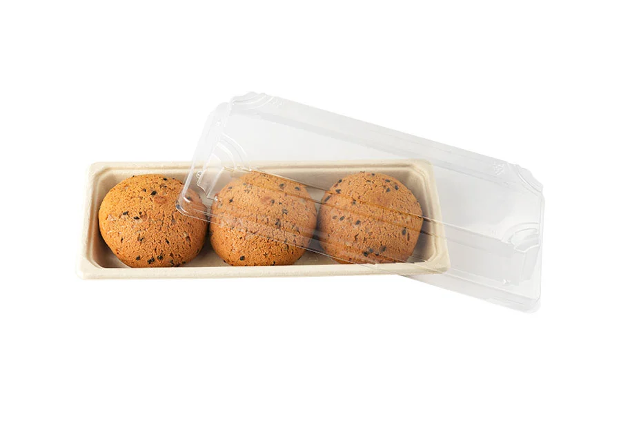 Sugarcane Pulp Tray With Lid
