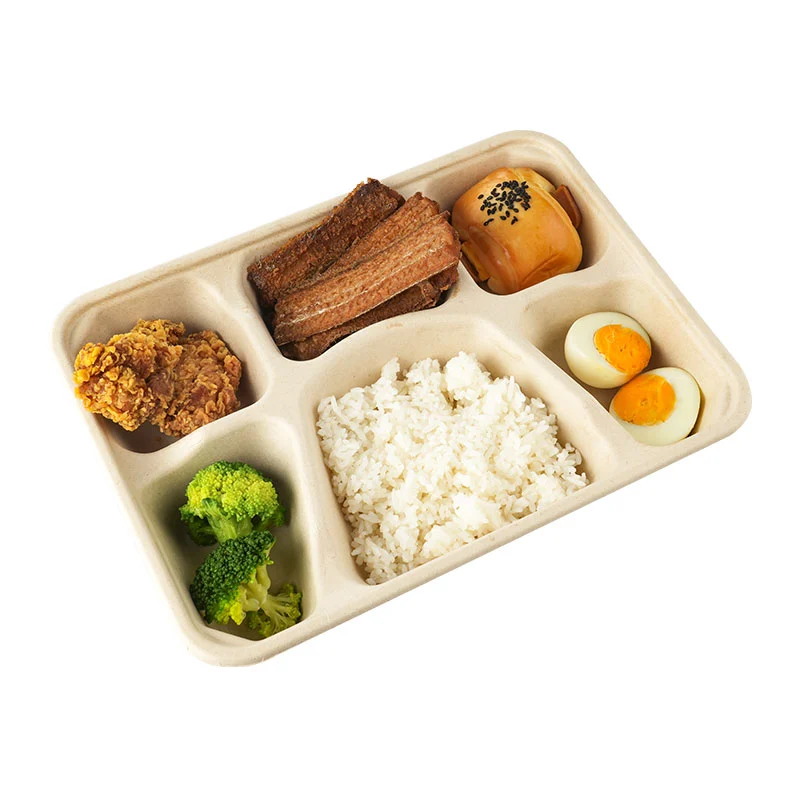 Food Packaging Container