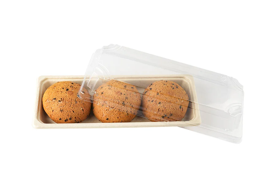Sugarcane Pulp Tray With Lid