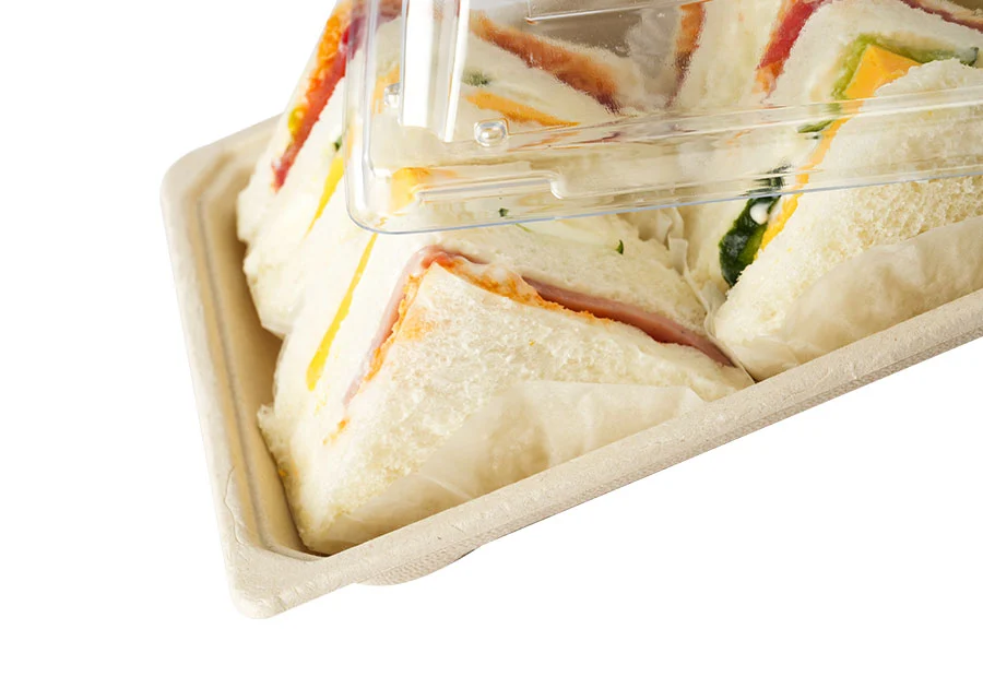 Biodegradable Sugarcane Pulp Tray With Lid