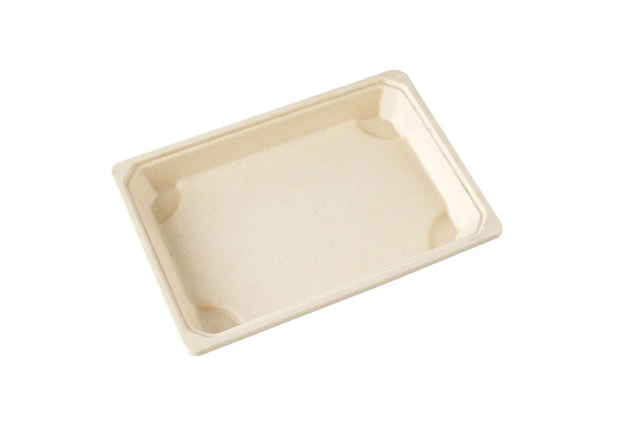Biodegradable Sugarcane Pulp Tray With Lid
