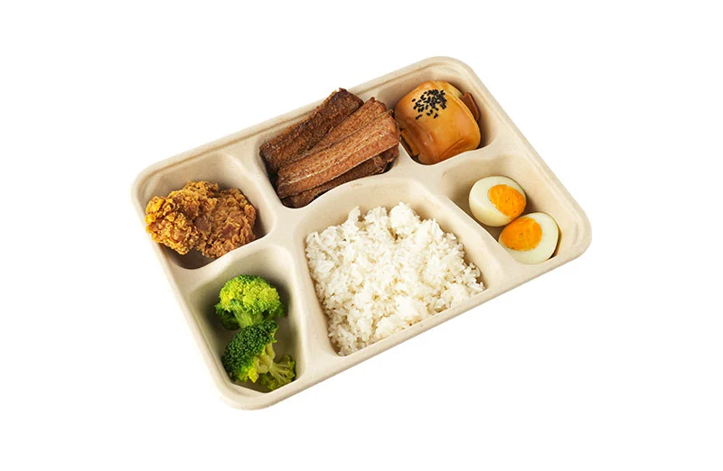 6 Compartments Food Containers With Lid