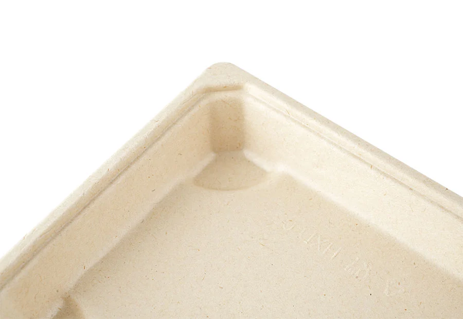 Customizable Waterproof And Oilproof Sugarcane Pulp Disposable Tray