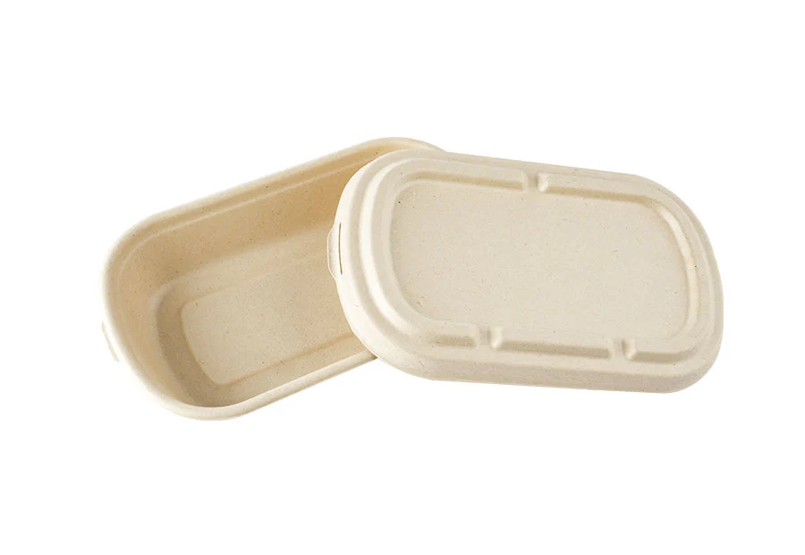 Biodegradable Rectangular Food Container