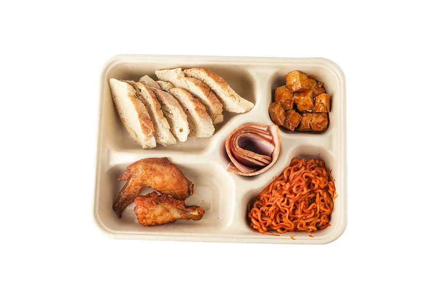 Specially Designed Sugarcane Pulp Food Packing Box