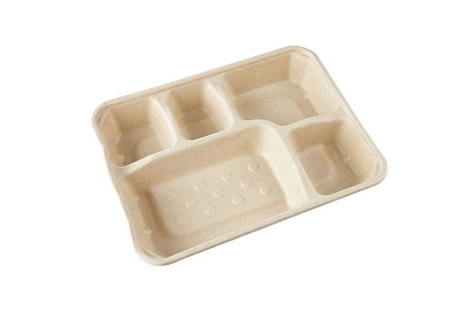 5 Compartments Of Sugarcane Pulp Food Packaging