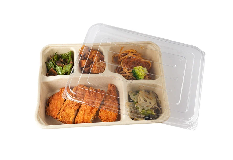 5 Compartments Of Sugarcane Pulp Food Packaging