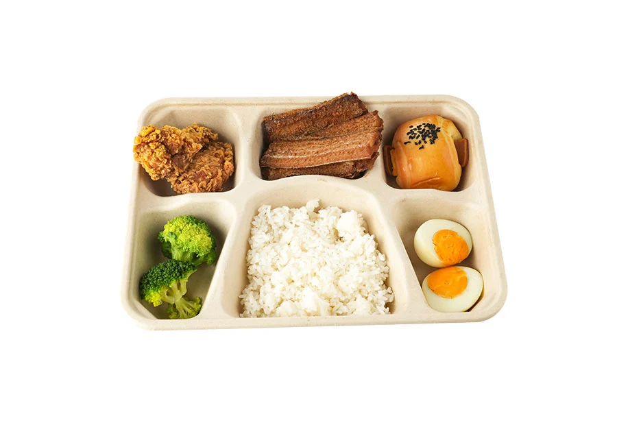 6 Compartments Food Containers With Lid