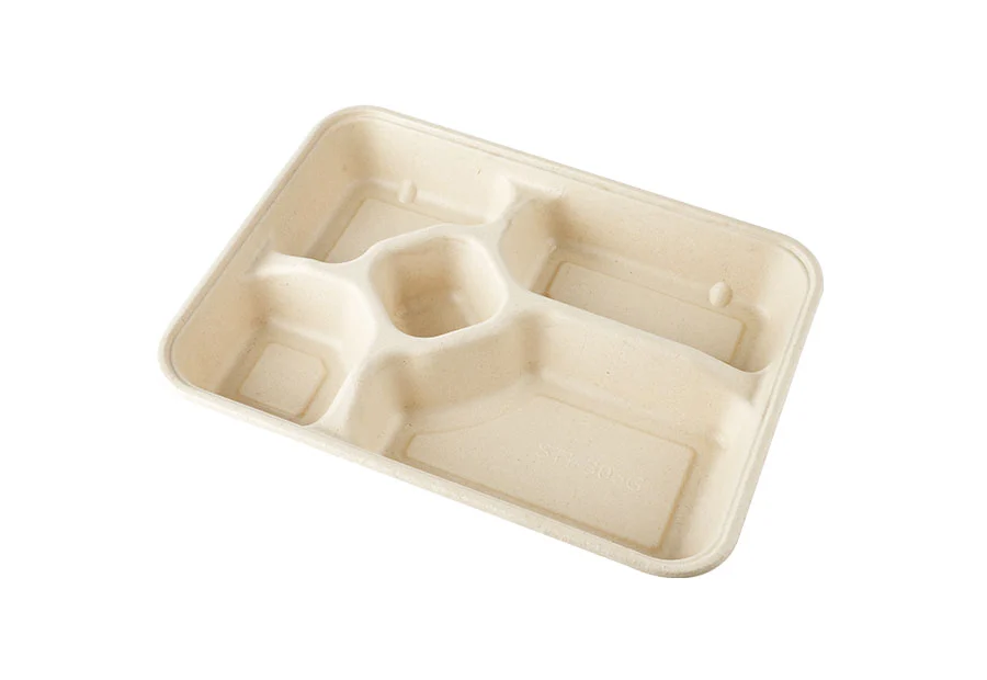 Specially Designed Sugarcane Pulp Food Packing Box