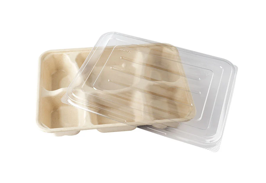 6 Compartments Food Containers With Lid
