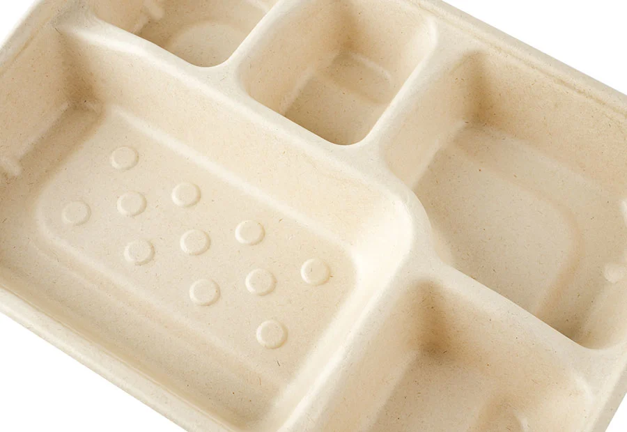 5 Compartments Of Sugarcane Pulp Food Packaging