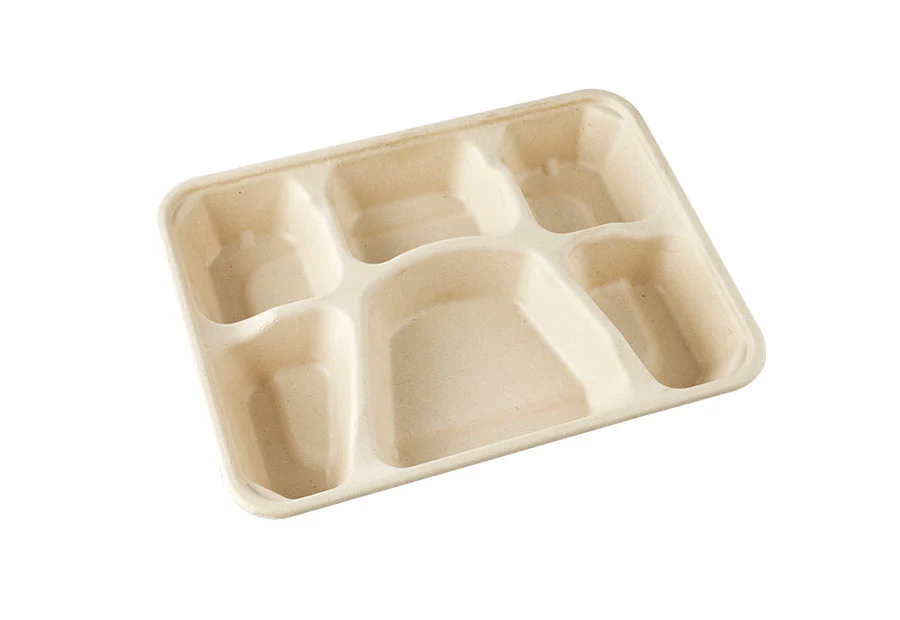 6 Compartments Food Containers With Lid