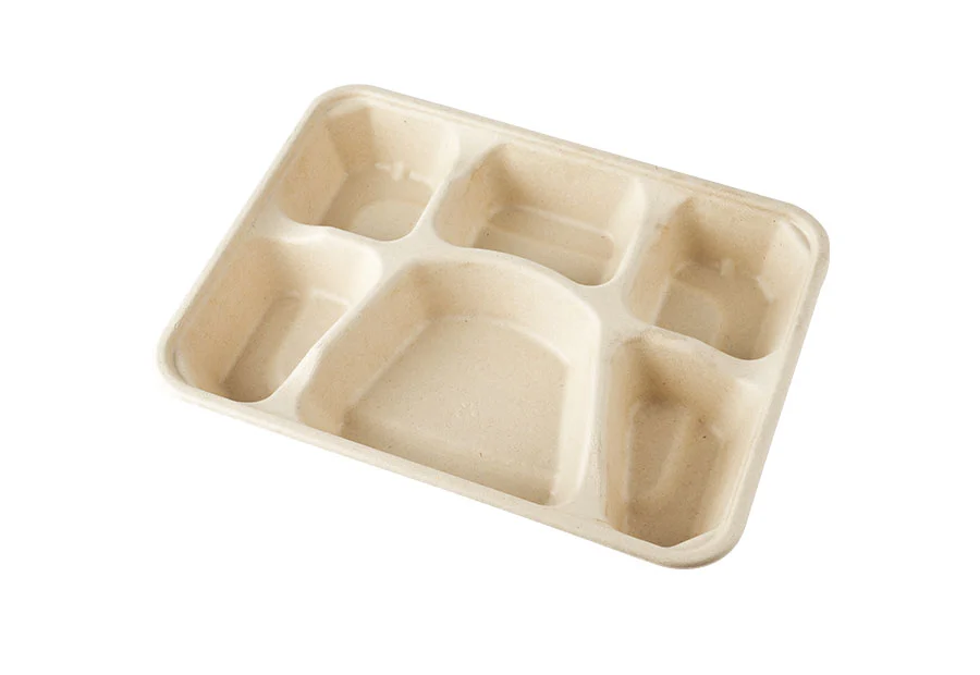 6 Compartments Food Containers With Lid