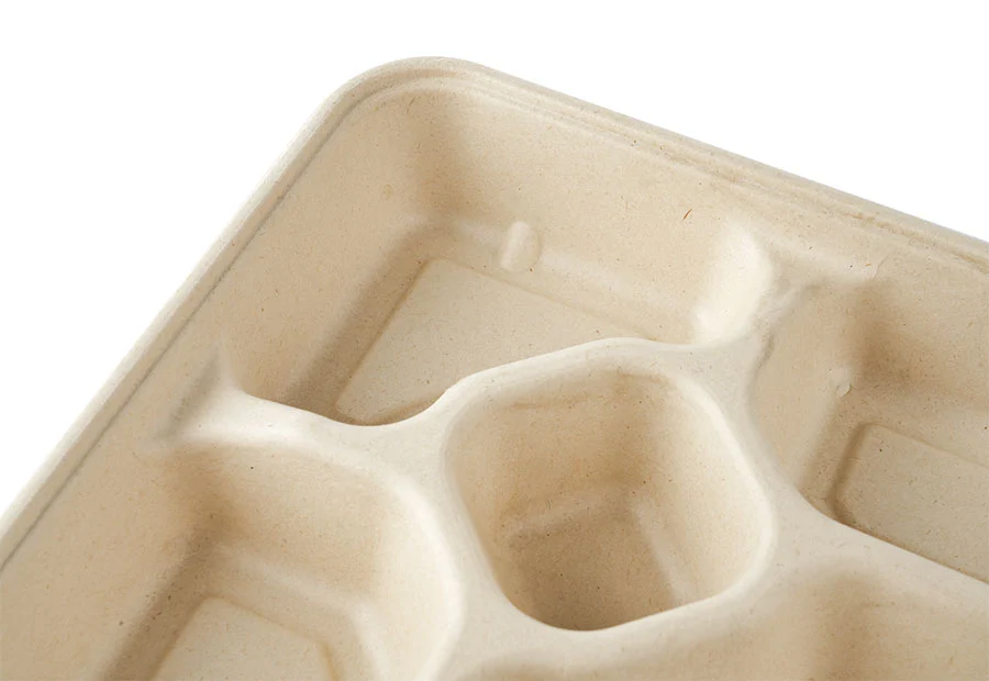 Specially Designed Sugarcane Pulp Food Packing Box