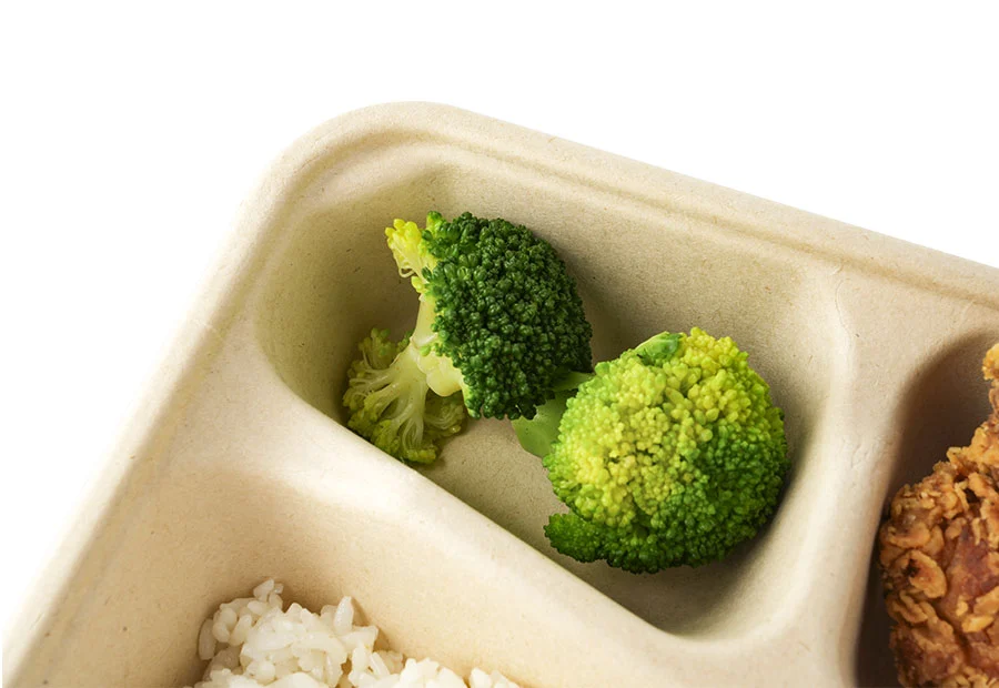 6 Compartments Food Containers With Lid