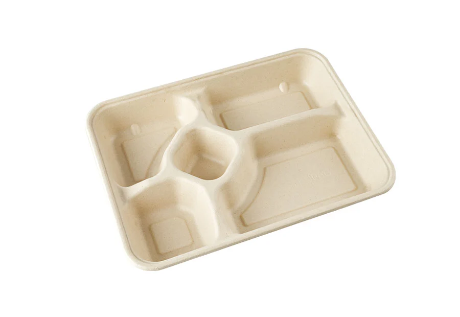 Specially Designed Sugarcane Pulp Food Packing Box