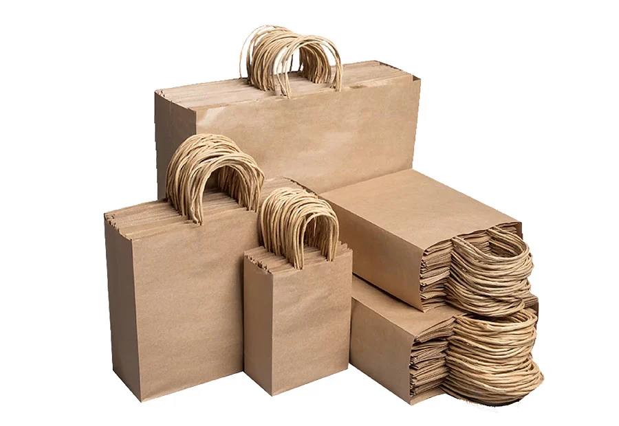 Reusable Eco-Friendly Custom Paper Bags with Handle